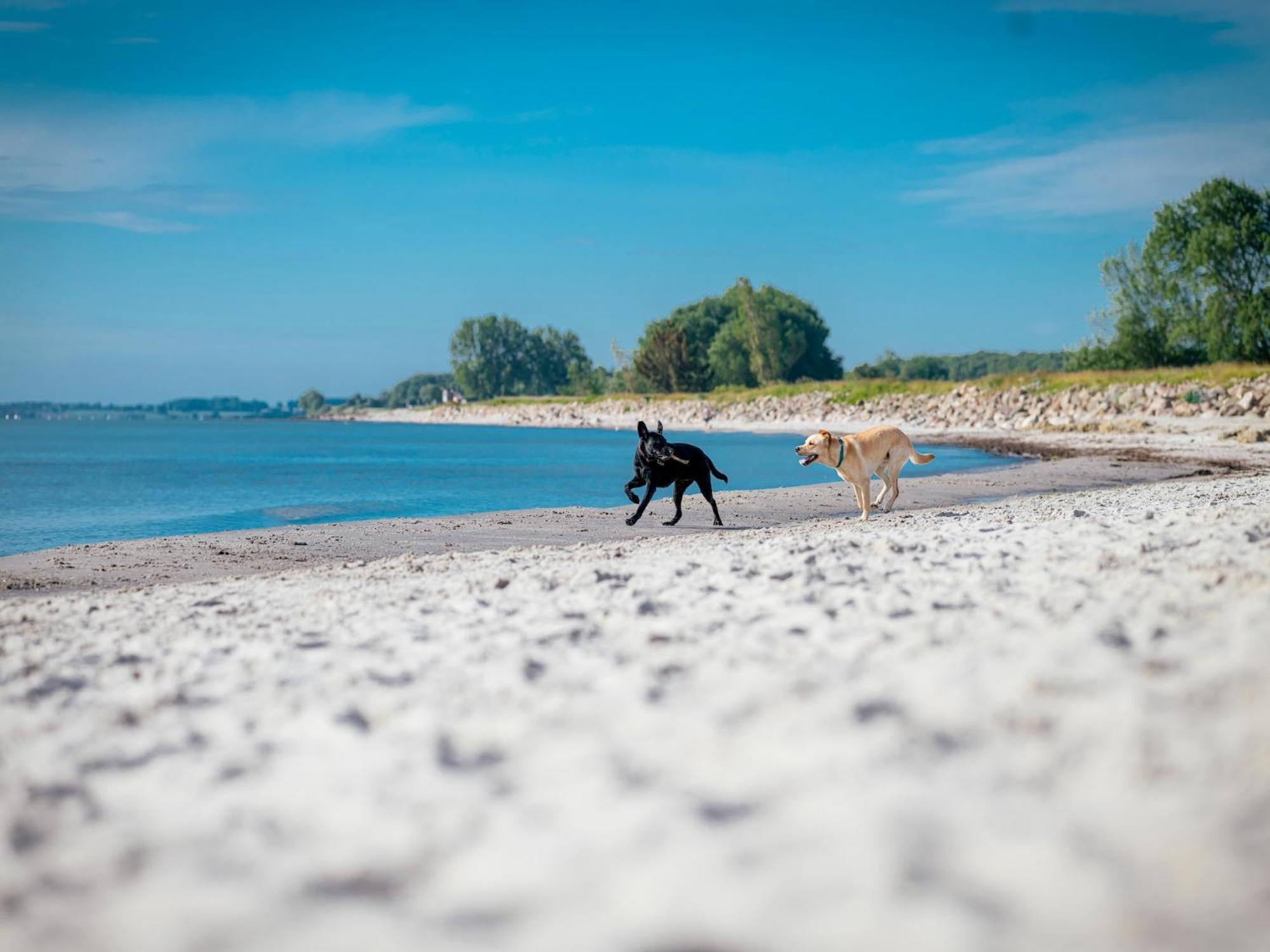 Ferienhaus Im Ostseeresort Dampland In Perfekter Lage Bagian luar foto
